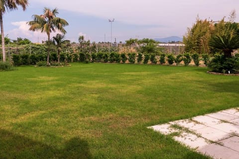 Day, Garden, Garden view