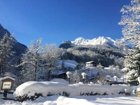 Winter, Mountain view