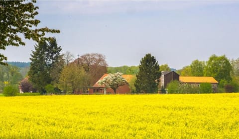 Gruppen, Feste, Tagungen, Urlaubsgebiet House in Heidekreis