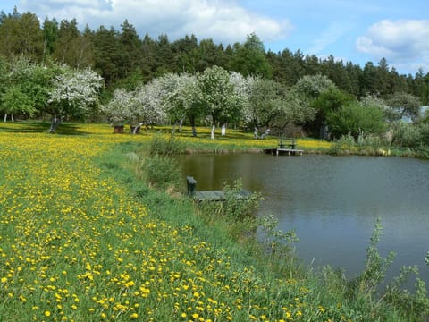 Fishing, On site, Area and facilities