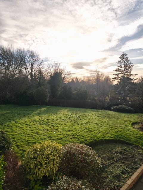 Garden, Sunset