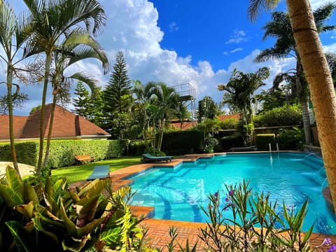 Pool view, Swimming pool