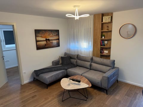 Luxury apartment Gabi 1 Apartment in Slavonski Brod