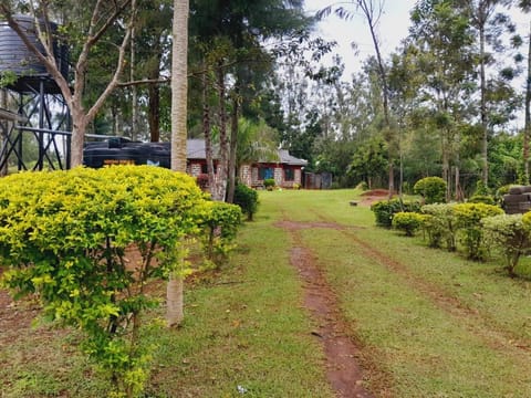 Snippers home styling Apartment in Uganda