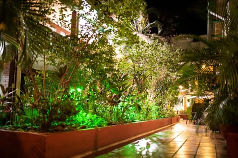 Patio, Garden view