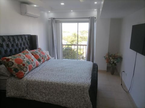 Quiet apartment, good access to Supermarkets, Center etc Apartment in Distrito Nacional