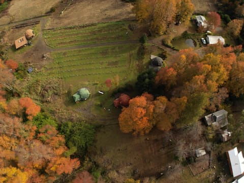 Day, Natural landscape, Bird's eye view, Autumn