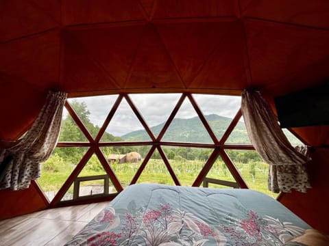 Bed, Natural landscape, View (from property/room), Photo of the whole room, Bedroom, Mountain view