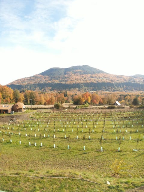 Nearby landmark, Day, Natural landscape, Autumn, Mountain view