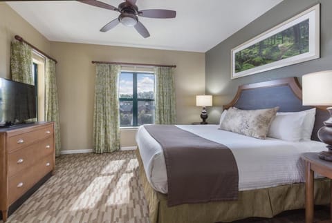 Amazing View of Great Smoky Mtn Apartment in Sevierville