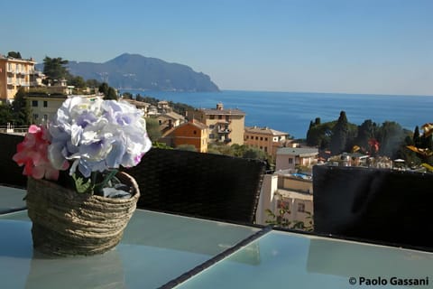 Gli Ulivi Apartment in Bogliasco