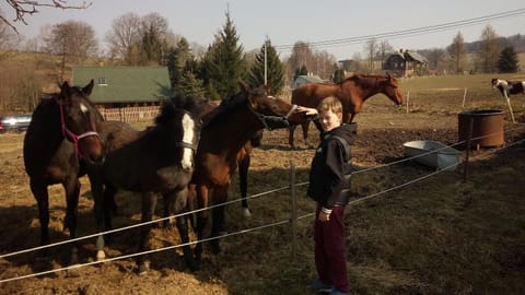 Horse-riding