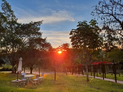 Natural landscape, Garden, Garden view, Sunset