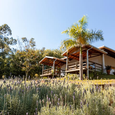 Property building, Natural landscape, Garden view