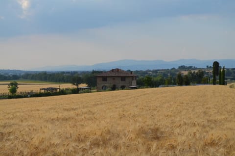 Podere Molinaccio Villa in Umbria