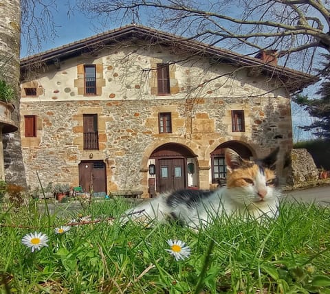 Property building, Garden, Pets