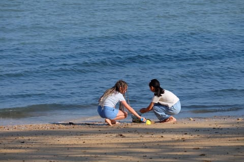 Natural landscape, Beach, Sea view