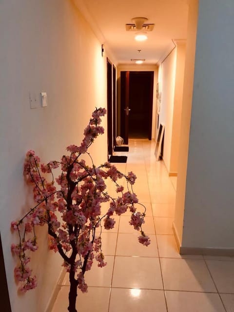 Premium Apartment in Ajman Most Iconic Orient Towers Apartment in Ajman