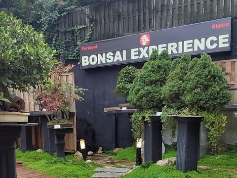 Zen Guest House - Museu do Bonsai Apartment in Sintra