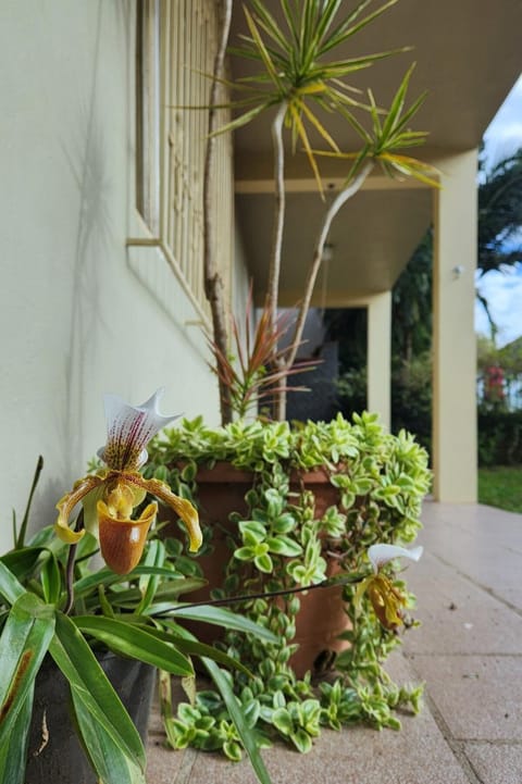 Casa aconchego, espaçosa e bem localizada Casa in Nova Petrópolis