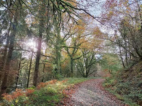 Dartmoor Forest Lodge House in West Devon District