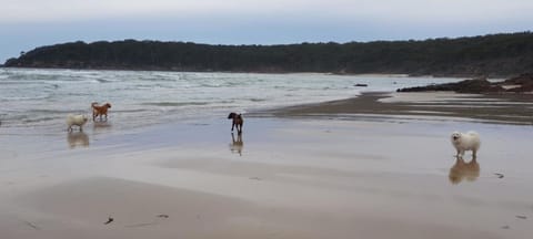 Beachside Units Apartamento in Pambula Beach