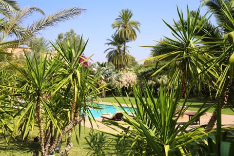 Villa Le Perroquet Bleu Bed and Breakfast in Marrakesh