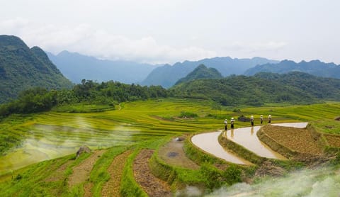 Puluong resort Apartment in Laos