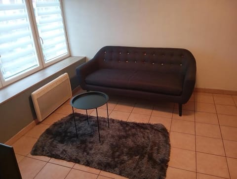 Appartement frontiere Luxembourg entree privative Apartment in Thionville