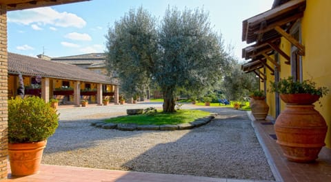 Agriturismo Arlena Farm Stay in Umbria