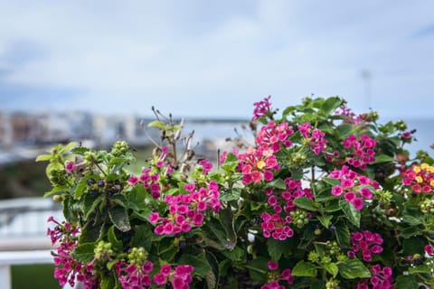 View (from property/room), Decorative detail, Sea view