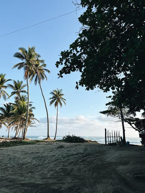 Natural landscape, Beach, Sea view