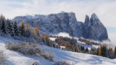 Nearby landmark, Natural landscape