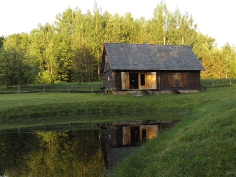 Labanoro pasaka - Elenutės namai Country House in Vilnius County, Lithuania