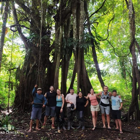 Jacamar Lodge Expeditions Capanno nella natura in State of Amazonas