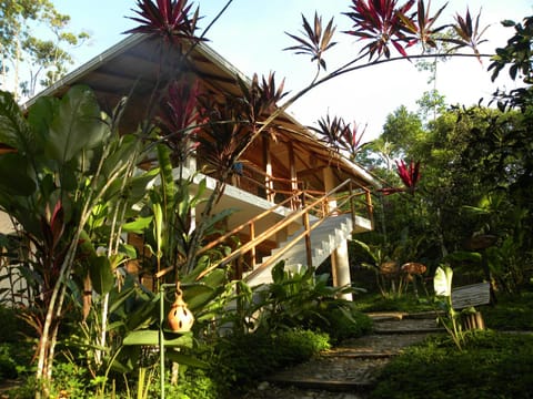 Garden, Balcony/Terrace