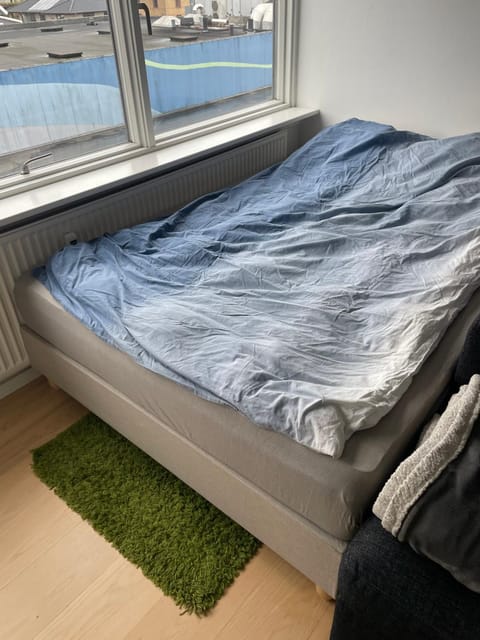 Small but cozy 1 bedroom Apartment with Living room Apartment in Copenhagen