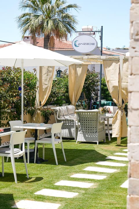 Patio, Garden, Garden view