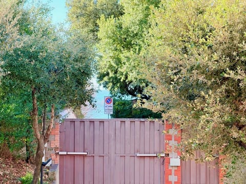 Day, Natural landscape, Garden, Garden view