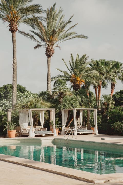 Day, Garden, Garden view, Pool view, Swimming pool