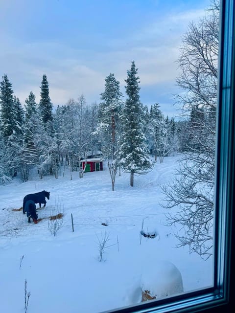 Mysigt hus på hästgård, strax utanför Kiruna House in Norrbotten County, Sweden