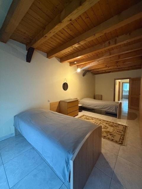 a cozy and quiet home House in Strasbourg