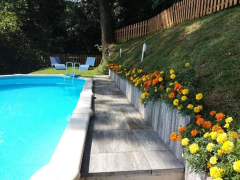 Garden view, Pool view, Swimming pool, sunbed