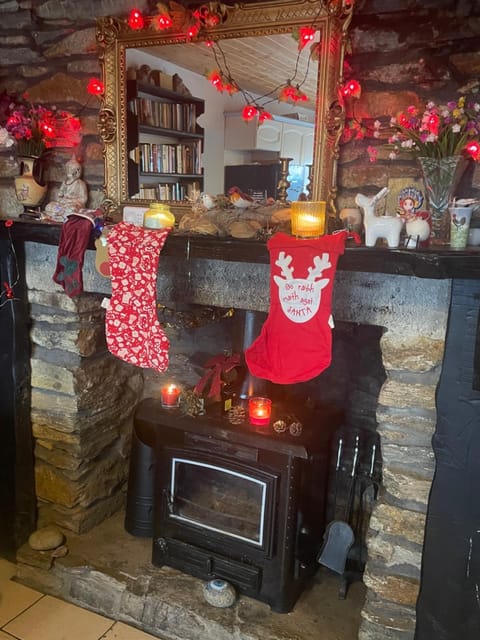 Christmas in Connemara! Grallagh house Dog paradise Villa in County Mayo
