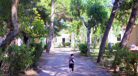 Property building, Garden view, Street view