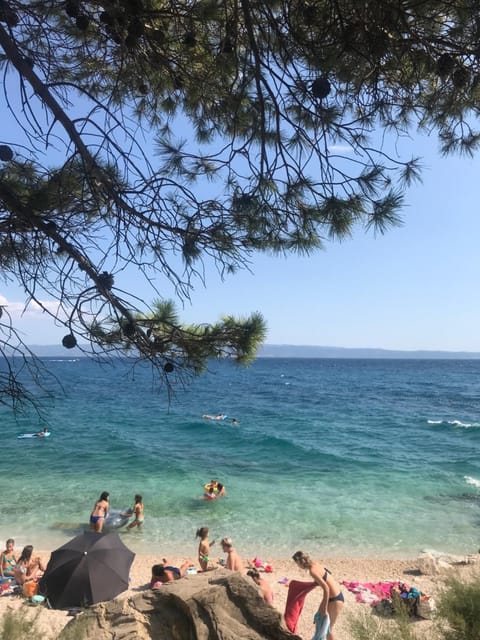 Neighbourhood, Natural landscape, Beach