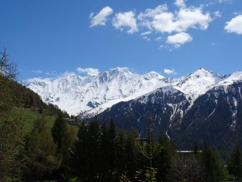 Chalet cosy 8 pers à Plan Peisey, proche pistes, avec cheminée et WIFI - FR-1-411-978 Chalet in St Martin Belleville