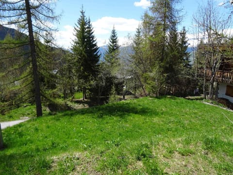 Chalet cosy 8 pers à Plan Peisey, proche pistes, avec cheminée et WIFI - FR-1-411-978 Chalet in St Martin Belleville