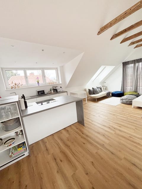 Kitchen or kitchenette, Living room, stove