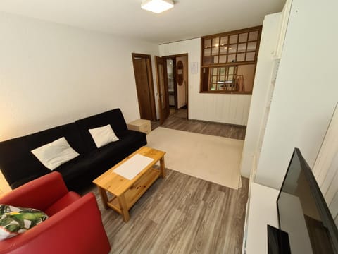 Remointze COSY & CENTER apartments by Alpvision Résidences Apartment in Nendaz